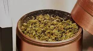 Central Budz Categories Accessories