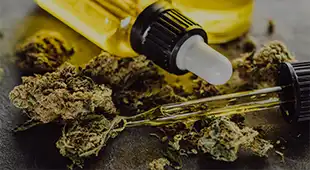 Central Budz Categories Tinctures