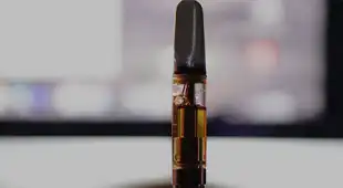 Central Budz Categories Vapes